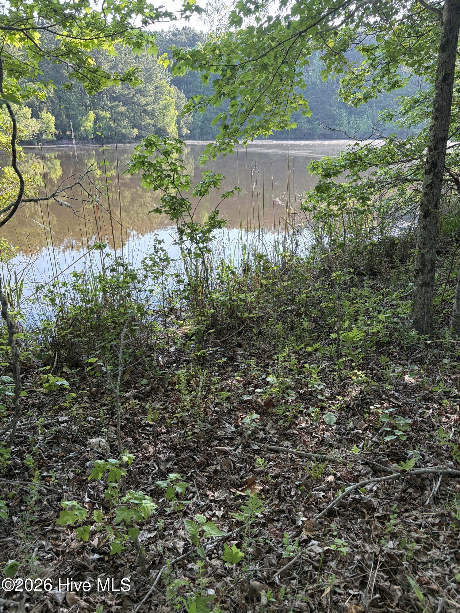 1381 Folly Road Plymouth, NC 27962 - Photo 5 of 7 One of the ponds on the property
