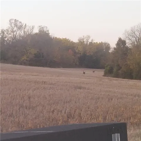 $89,900 | 4-acres East 315th Street, Drexel, MO 64742