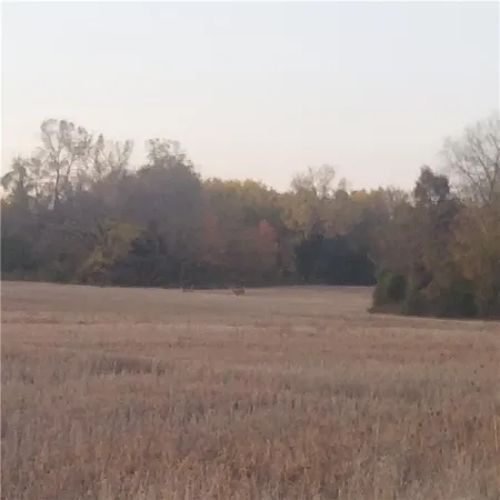 $89,900 | 4-acres East 315th Street, Drexel, MO 64742