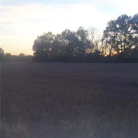 $89,900 | 4-acres East 315th Street, Drexel, MO 64742