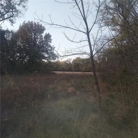 $89,900 | 4-acres East 315th Street, Drexel, MO 64742
