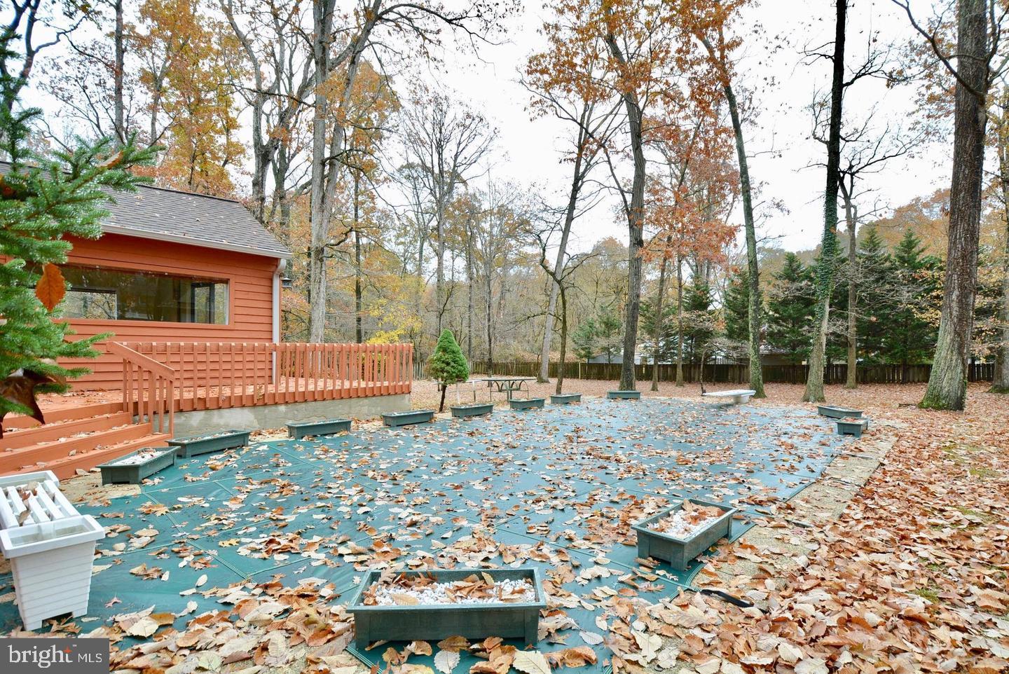 8421 Alvin Road Pasadena, MD 21122 - Photo 54 of 54 a backyard of a house with lots of green space