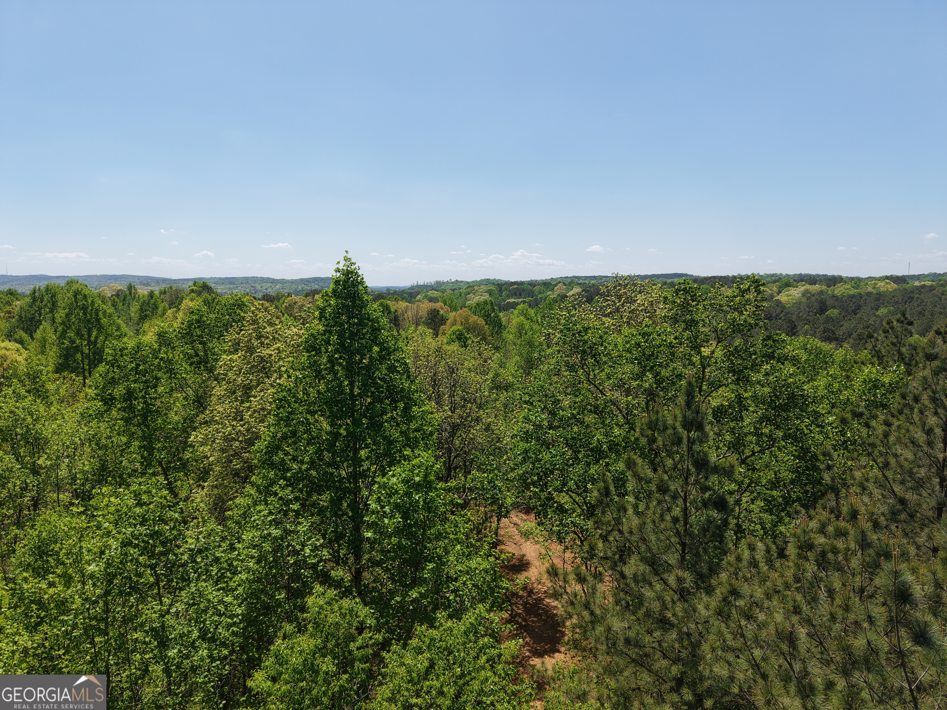 0 Ryo Mountain Road, Unit 9609 Fairmount, GA 30139 - Photo 76 of 87 Gallery Image 76