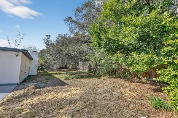a view of a yard with plants and large trees