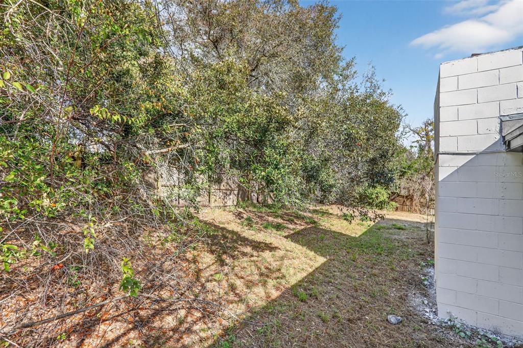 101 West Celeste Street Apopka, FL 32703 - Photo 44 of 47 a view of a yard with plants and large trees