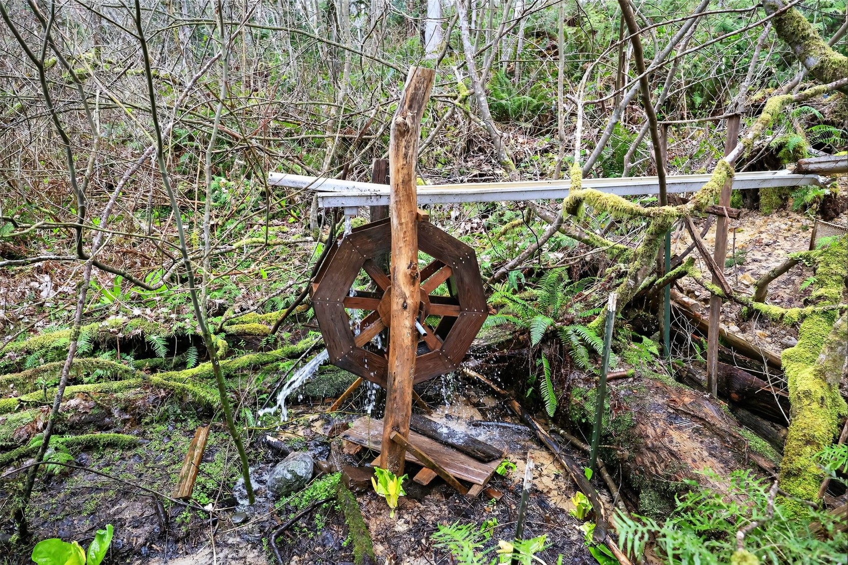 716 Garden Hill Road West Elma, WA 98541 - Photo 26 of 32