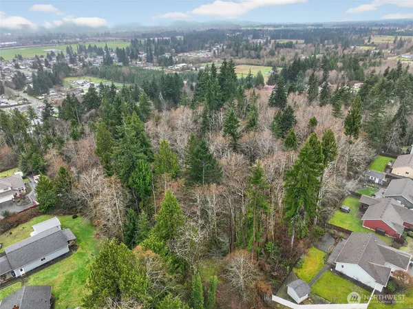 a view of a park with large trees