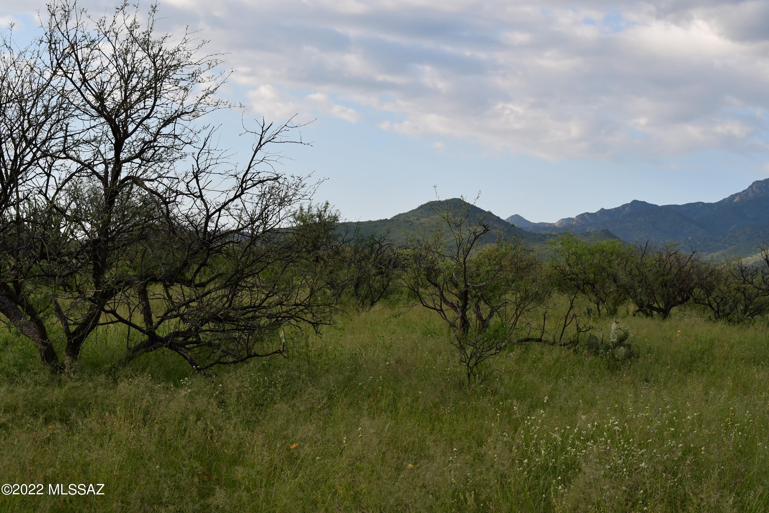 Tbd Alta Vista Court, Unit 22/1 Rio Rico, AZ 85648 - Photo 24 of 33