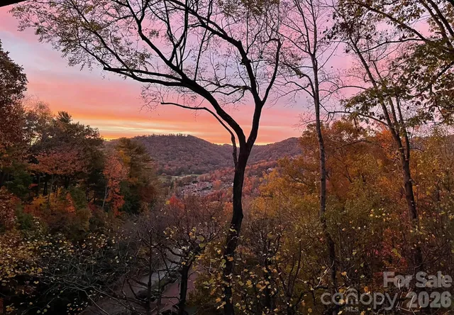 a view of mountain view with lots of trees