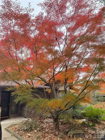 a backyard of a house with lots of green space
