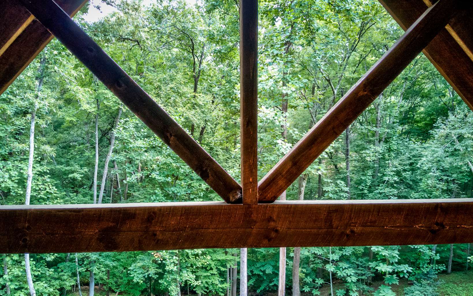 580 Arbor Way Blue Ridge, GA 30513 - Photo 39 of 40 Additional View