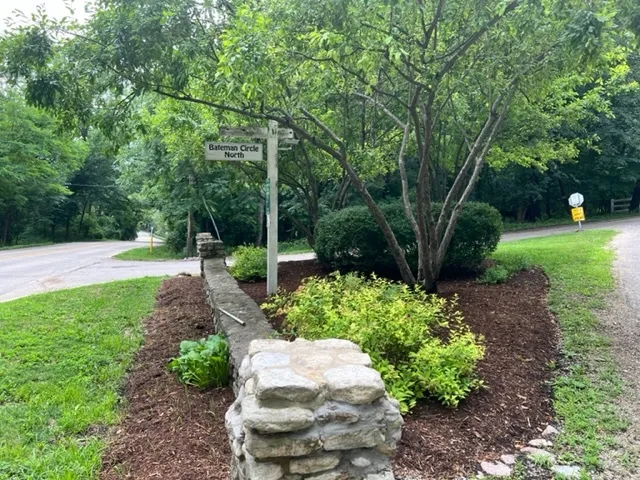 a view of backyard with green space