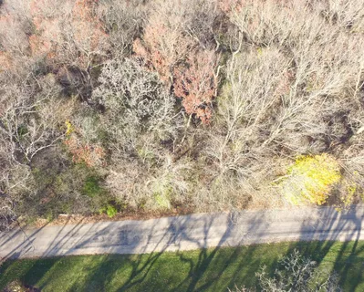 a view of backyard with green space