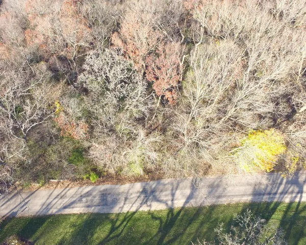a view of backyard with green space