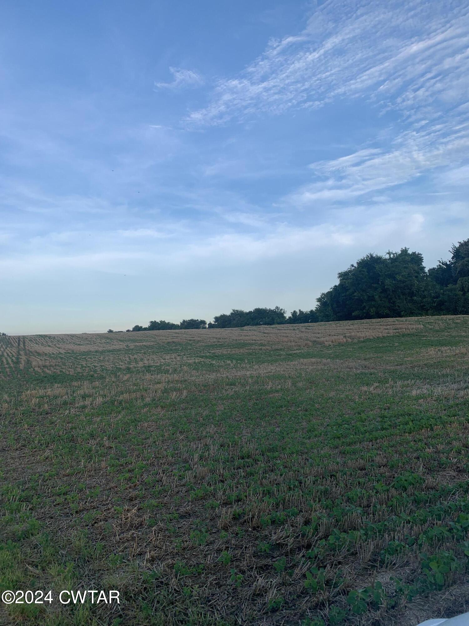 0 Roellen Newbern Road Newbern, TN 38059 - Photo 3 of 4 IMG-3195