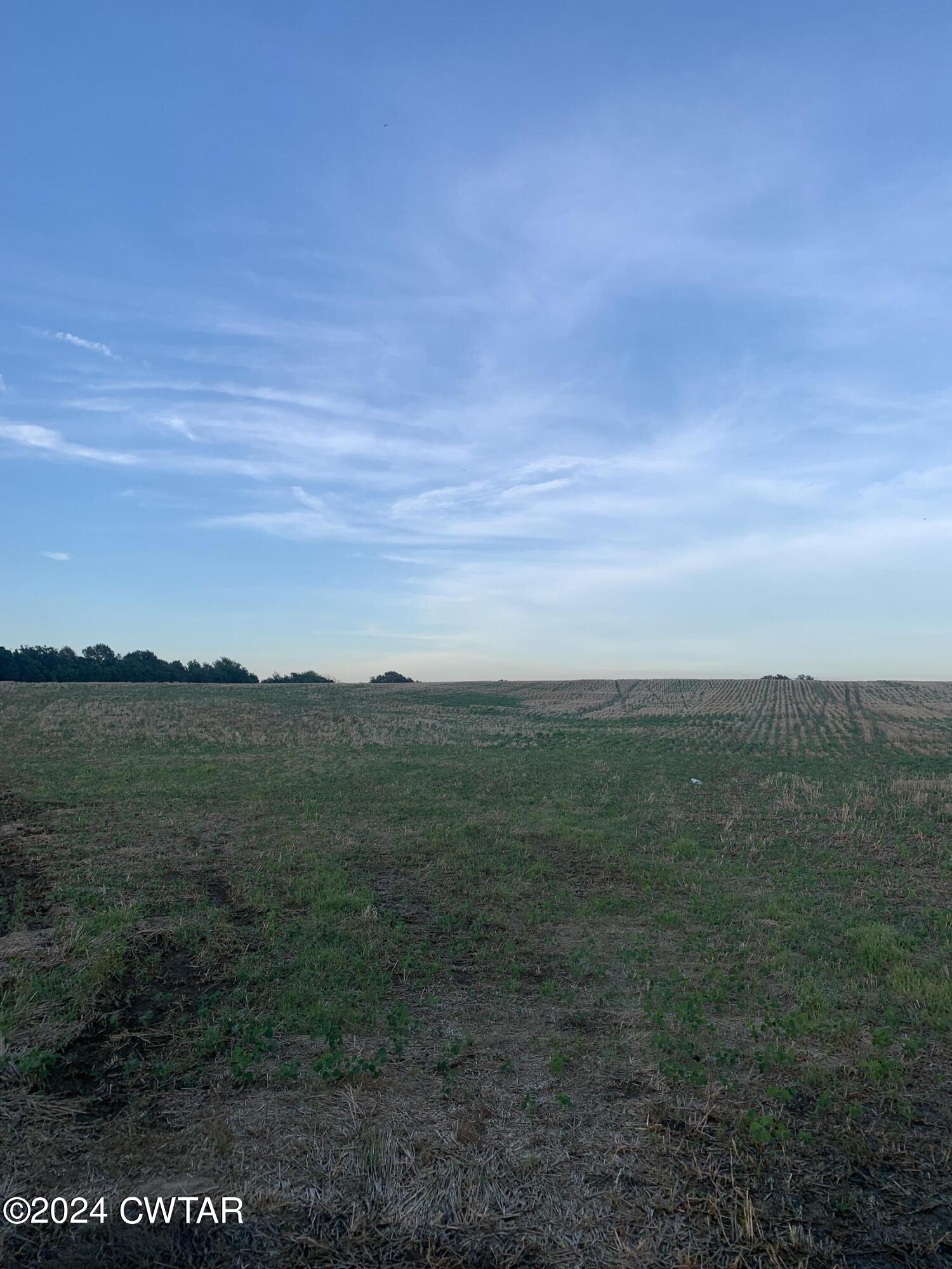 0 Roellen Newbern Road Newbern, TN 38059 - Photo 4 of 4 IMG-3194