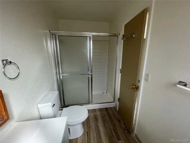 a bathroom with a shower and a toilet