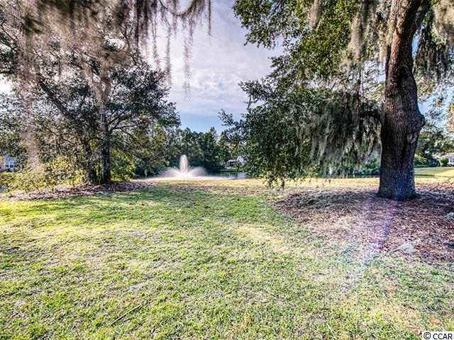 20-1 Rapture Court, Unit 1 Pawleys Island, SC 29585 - Photo 22 of 28 Gallery Image 22