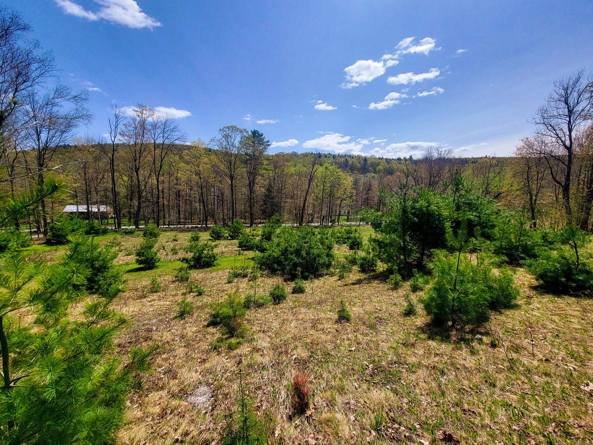 102 Turnpike Road, Unit 3 Strafford, VT 05070 - Photo 11 of 40