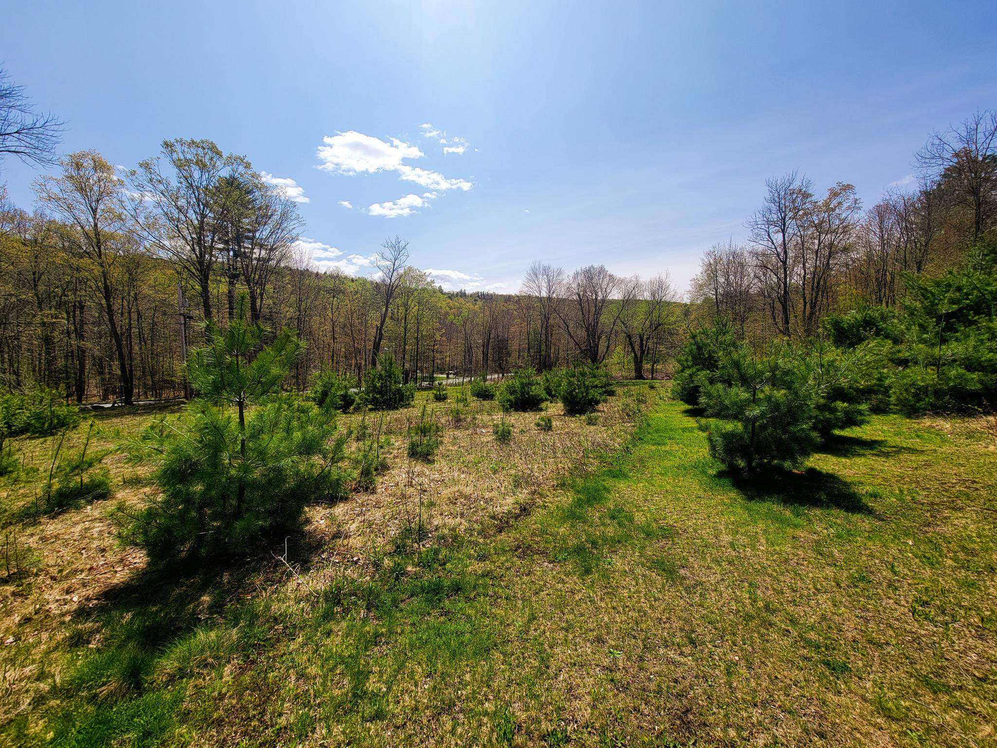 102 Turnpike Road, Unit 3 Strafford, VT 05070 - Photo 13 of 40