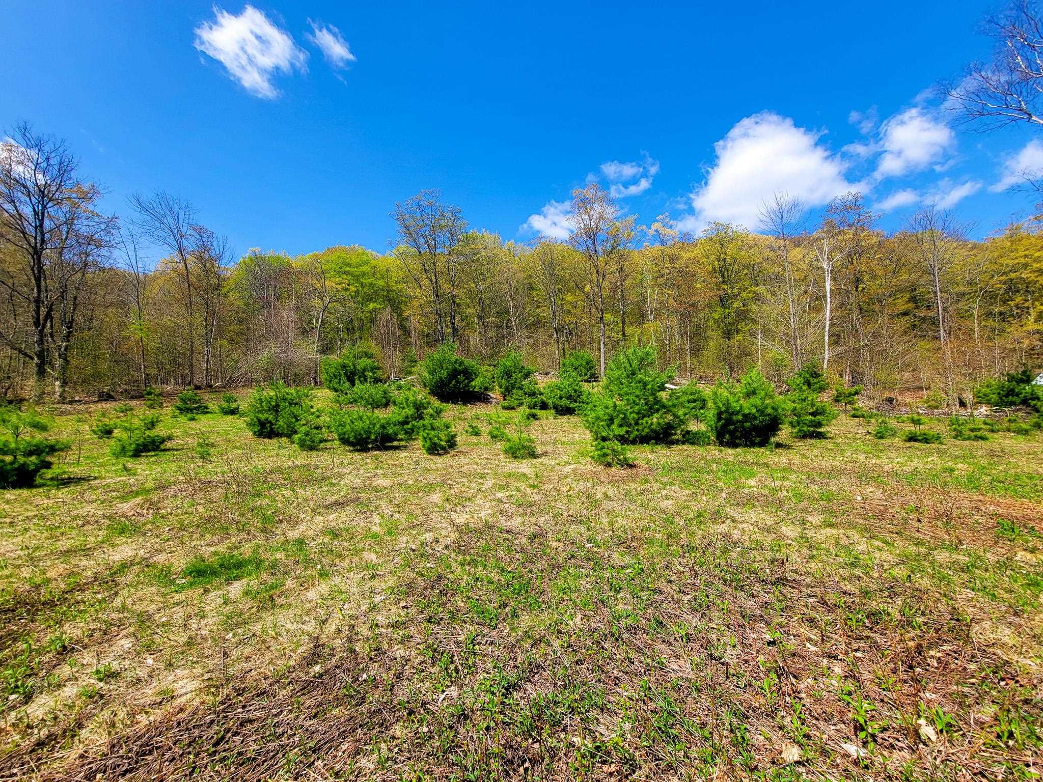 102 Turnpike Road, Unit 3 Strafford, VT 05070 - Photo 14 of 40