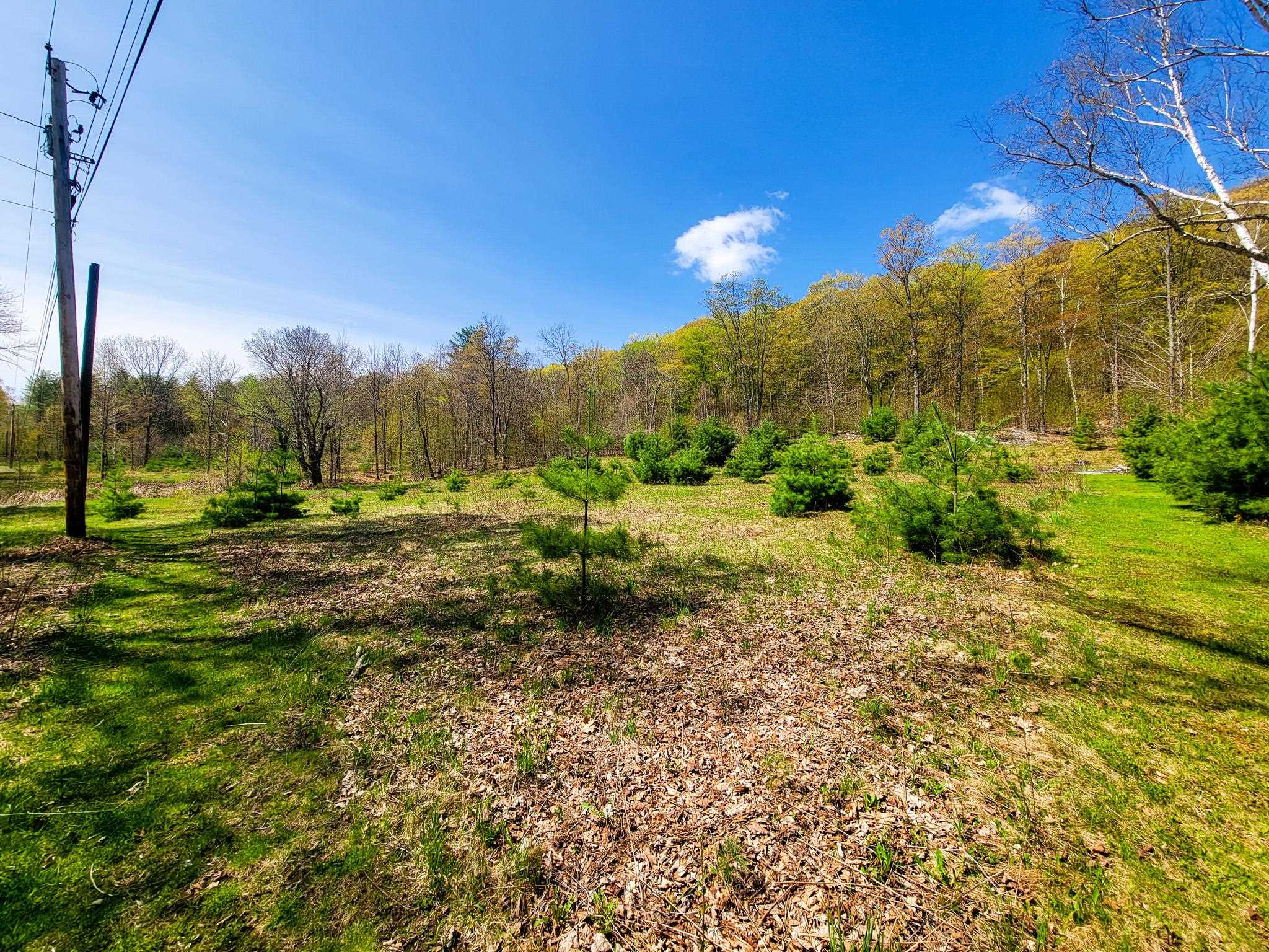102 Turnpike Road, Unit 3 Strafford, VT 05070 - Photo 19 of 40