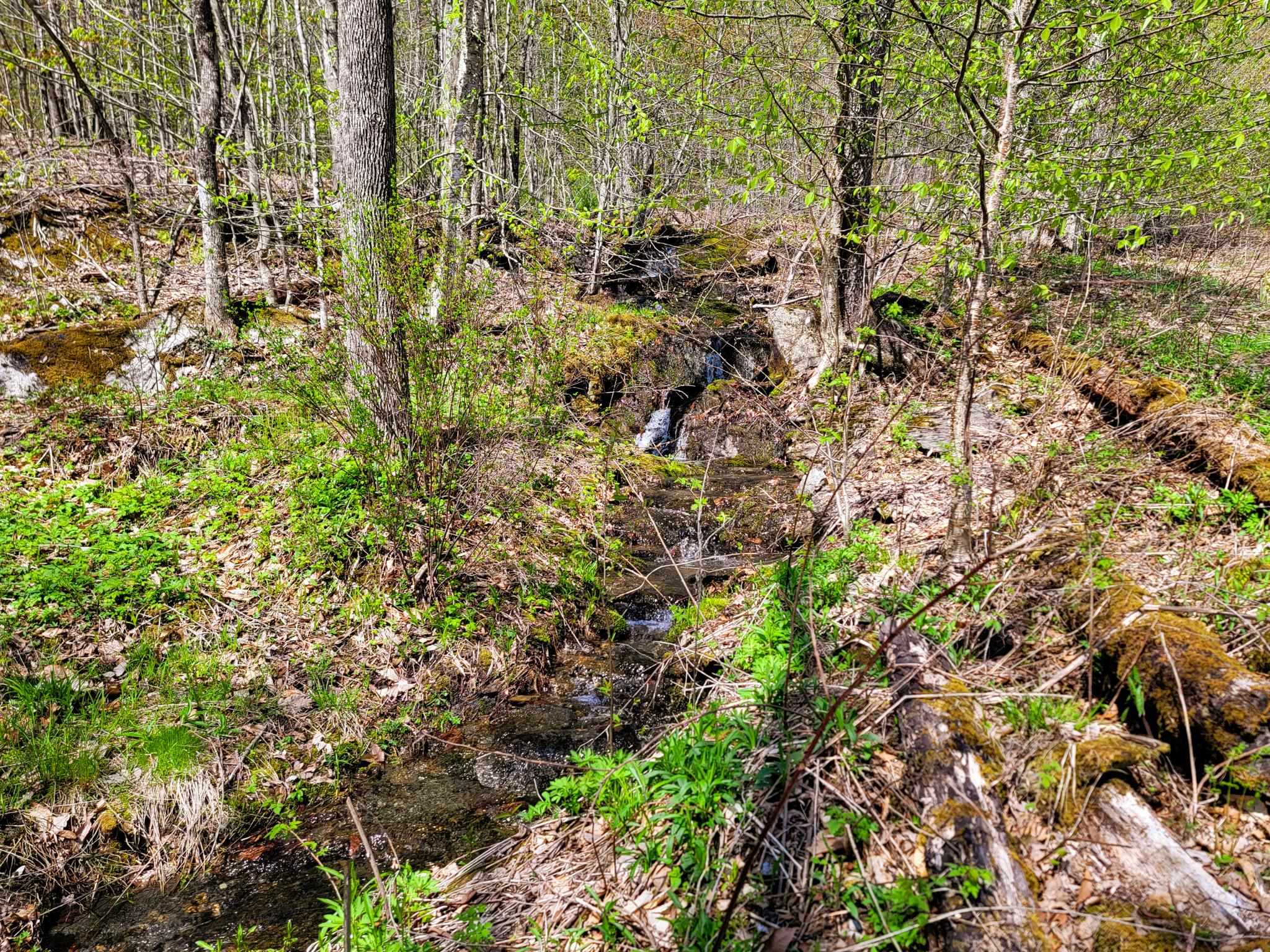102 Turnpike Road, Unit 3 Strafford, VT 05070 - Photo 24 of 40