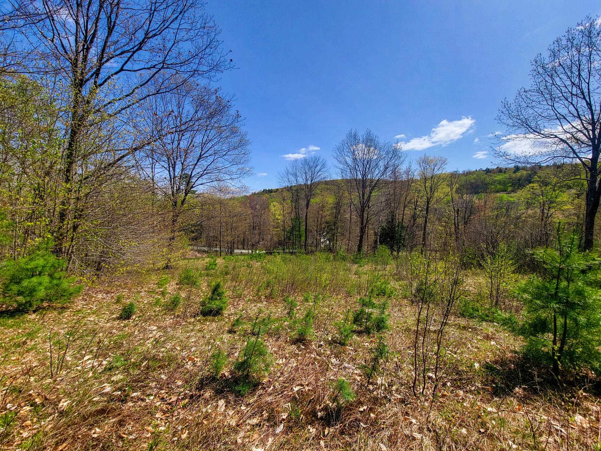 102 Turnpike Road, Unit 3 Strafford, VT 05070 - Photo 25 of 40