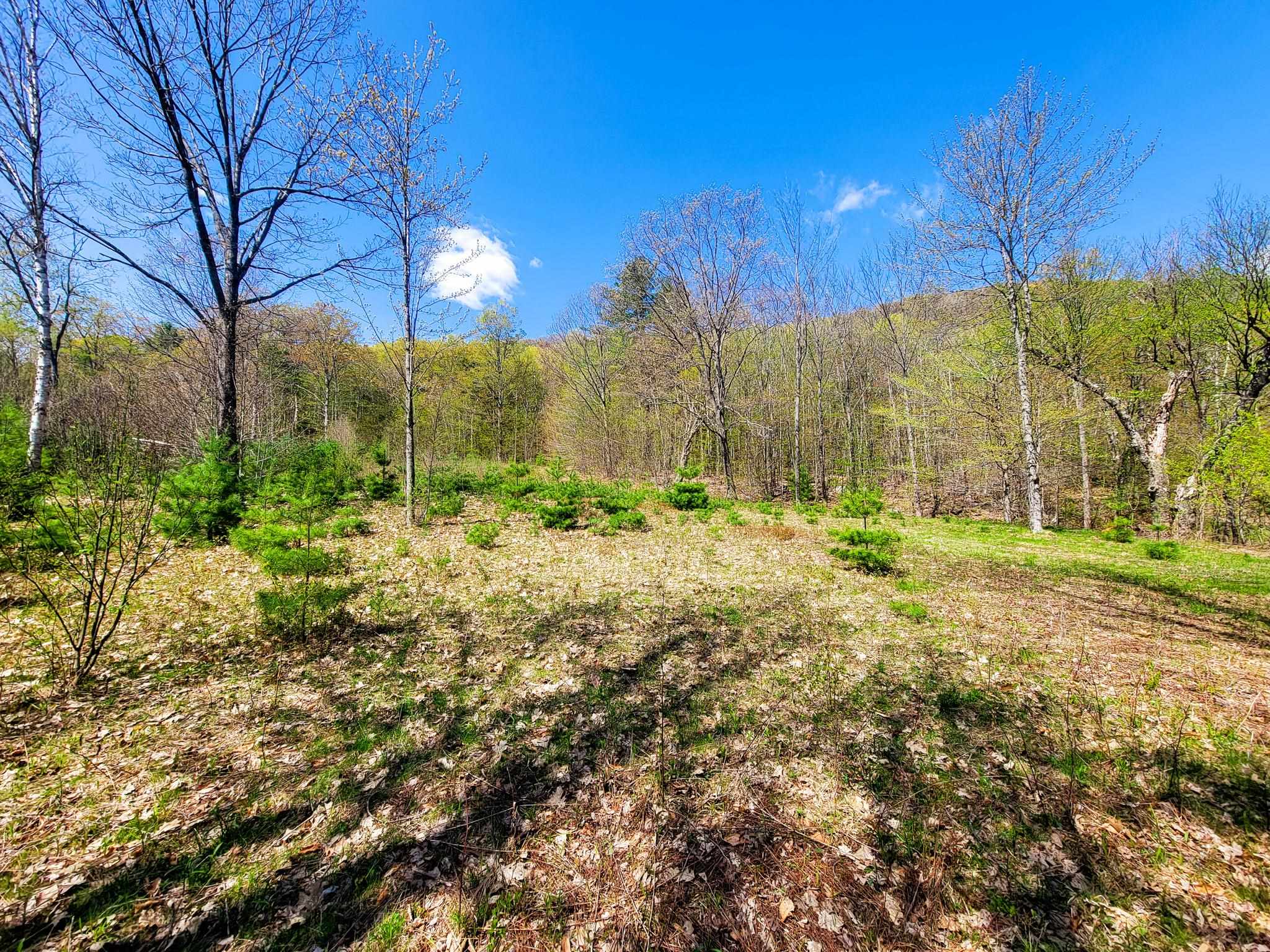 102 Turnpike Road, Unit 3 Strafford, VT 05070 - Photo 26 of 40