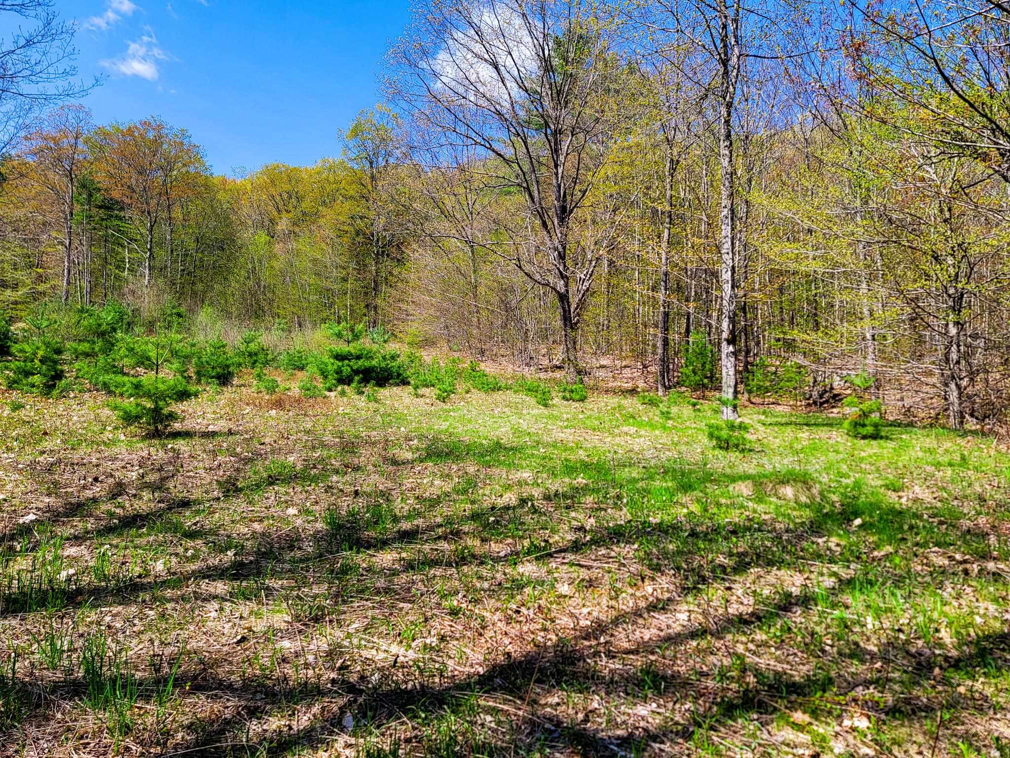 102 Turnpike Road, Unit 3 Strafford, VT 05070 - Photo 27 of 40