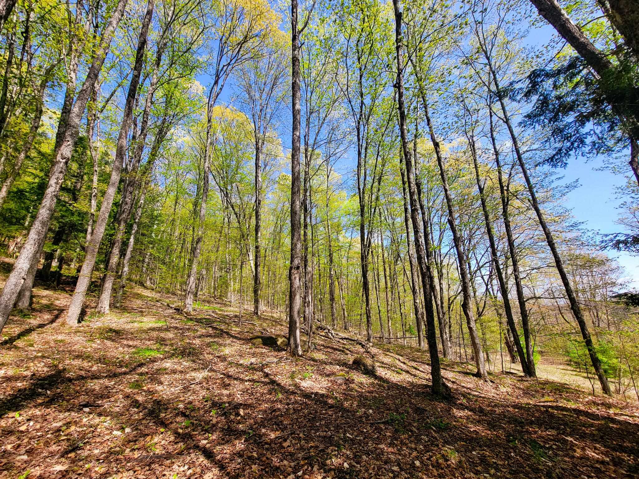 102 Turnpike Road, Unit 3 Strafford, VT 05070 - Photo 30 of 40