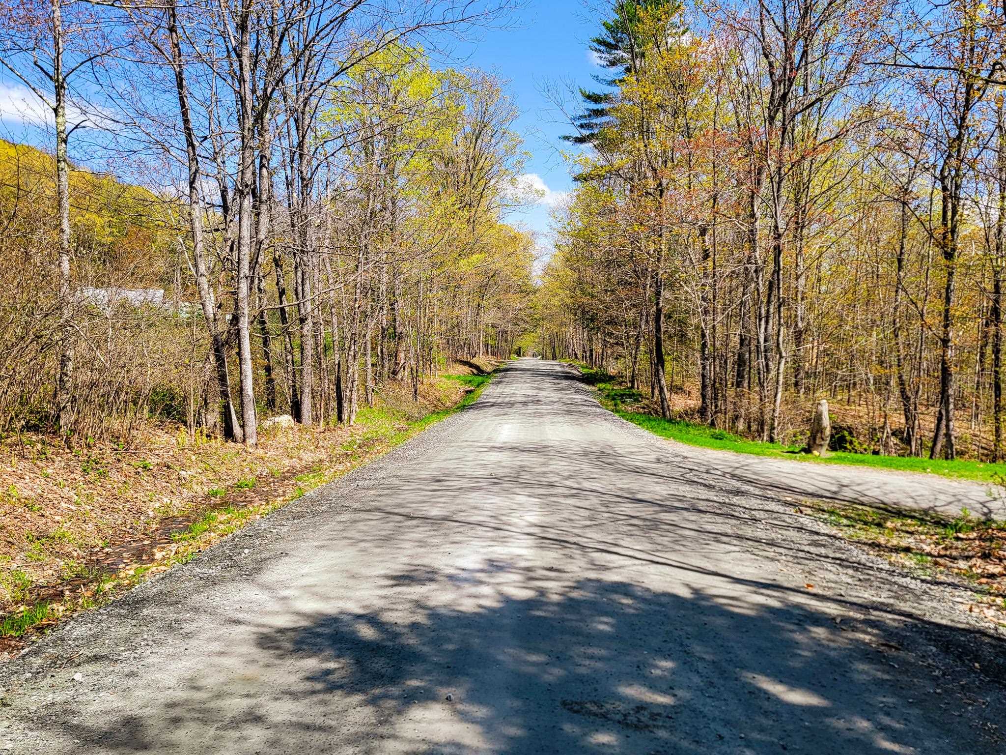 102 Turnpike Road, Unit 3 Strafford, VT 05070 - Photo 37 of 40