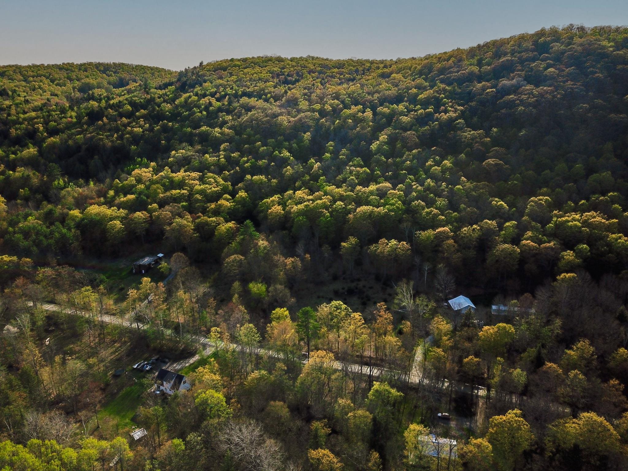 102 Turnpike Road, Unit 3 Strafford, VT 05070 - Photo 6 of 40