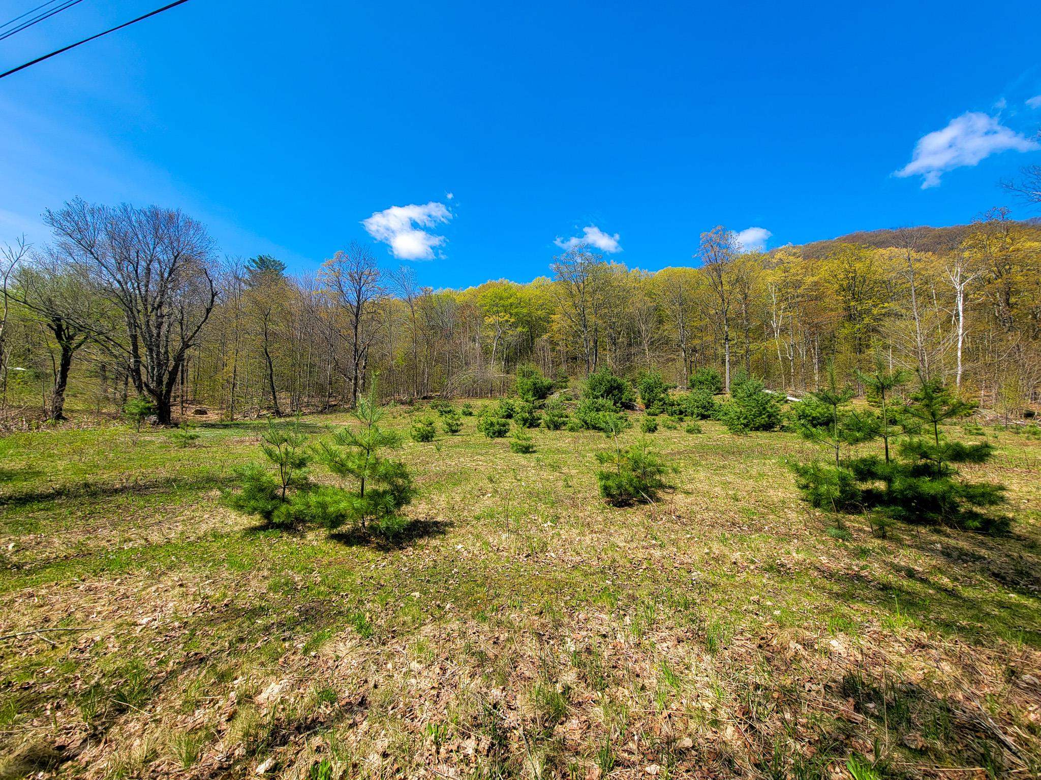 102 Turnpike Road, Unit 3 Strafford, VT 05070 - Photo 9 of 40