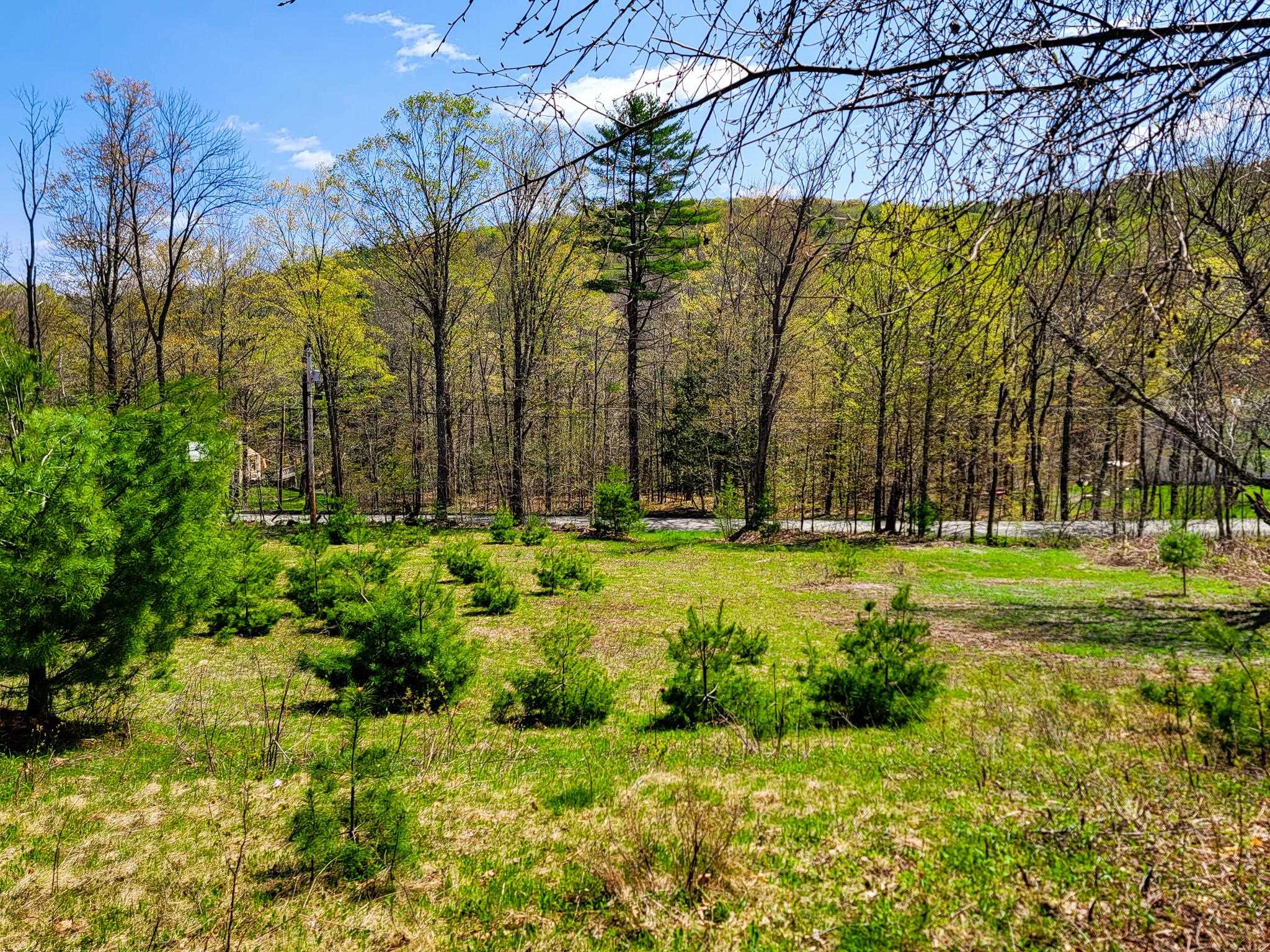 102 Turnpike Road, Unit 3 Strafford, VT 05070 - Photo 10 of 40