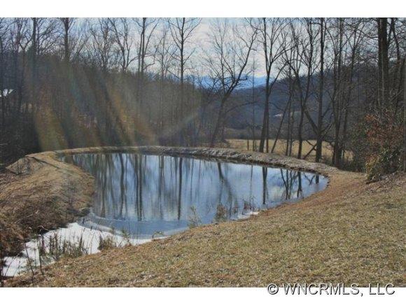 73 Vintage Road Candler, NC 28715 - Photo 1 of 10 Gallery Image 1