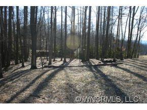 73 Vintage Road Candler, NC 28715 - Photo 6 of 10 Gallery Image 6