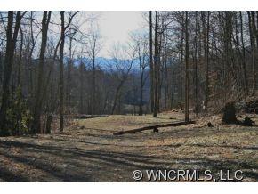 73 Vintage Road Candler, NC 28715 - Photo 10 of 10 Gallery Image 10