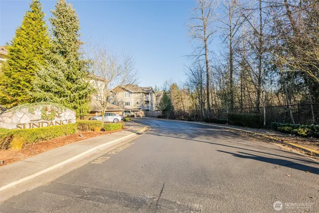 a view of street with large trees