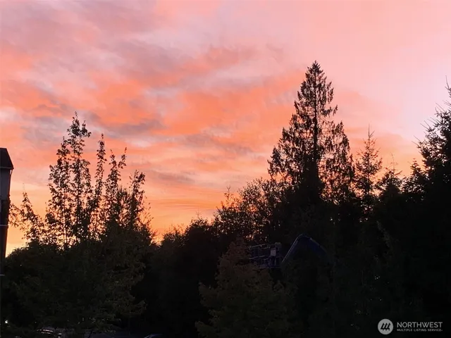 a view of outdoor space and garden