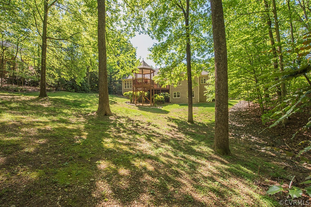11904 Reeds Bluff Lane Midlothian, VA 23113 - Photo 9 of 50 Gallery Image 9