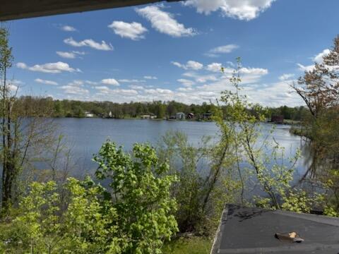105 Wood Street Three Rivers, MI 49093 - Photo 6 of 7 2