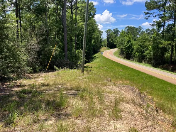 $45,500 | 48 Hwy Sandy Hook Ms 39667, Sandy Hook, MS 39478
