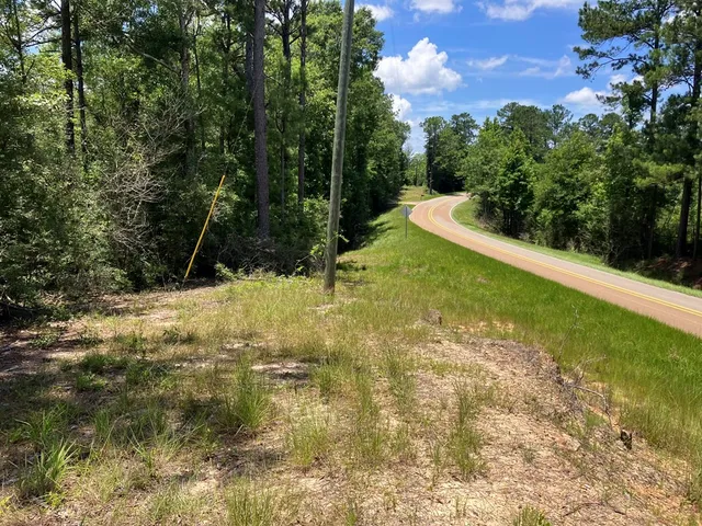 $45,500 | 48 Hwy Sandy Hook Ms 39667, Sandy Hook, MS 39478
