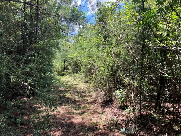 $45,500 | 48 Hwy Sandy Hook Ms 39667, Sandy Hook, MS 39478