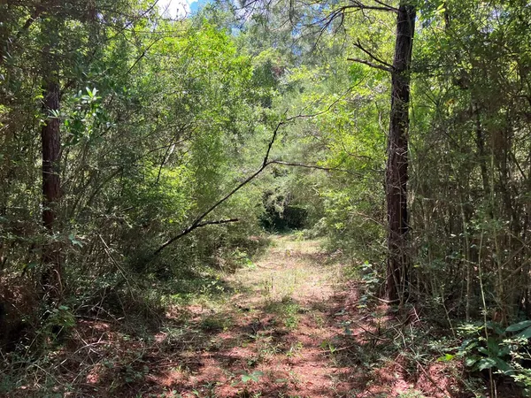 $45,500 | 48 Hwy Sandy Hook Ms 39667, Sandy Hook, MS 39478