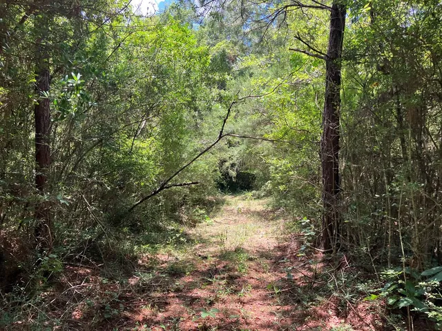 $45,500 | 48 Hwy Sandy Hook Ms 39667, Sandy Hook, MS 39478