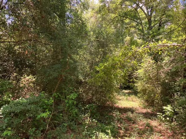 $45,500 | 48 Hwy Sandy Hook Ms 39667, Sandy Hook, MS 39478