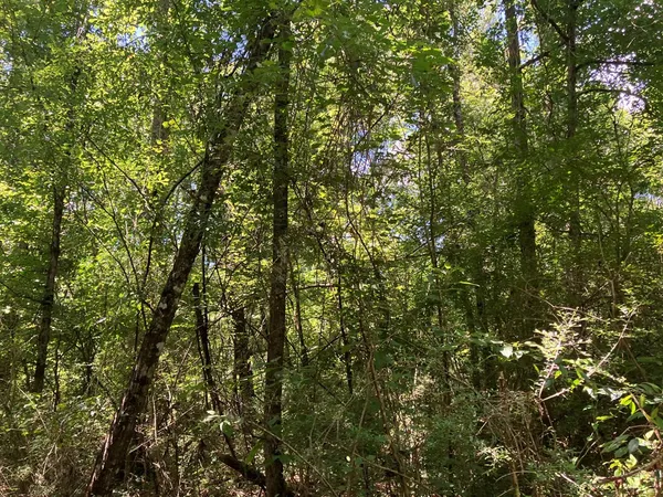 $45,500 | 48 Hwy Sandy Hook Ms 39667, Sandy Hook, MS 39478