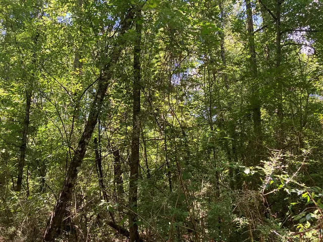 $45,500 | 48 Hwy Sandy Hook Ms 39667, Sandy Hook, MS 39478